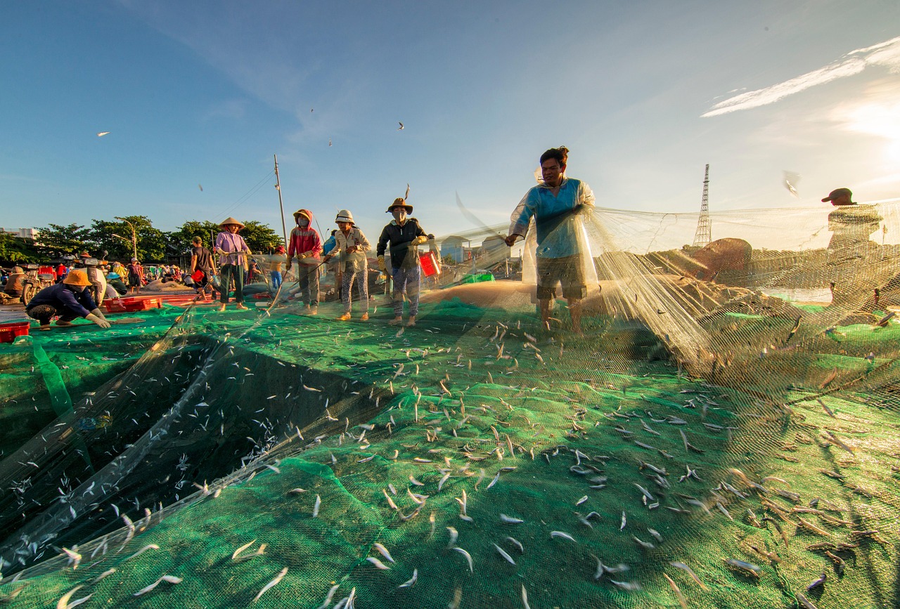 Asian Vietnam Porn: Unveiling the Passionate World