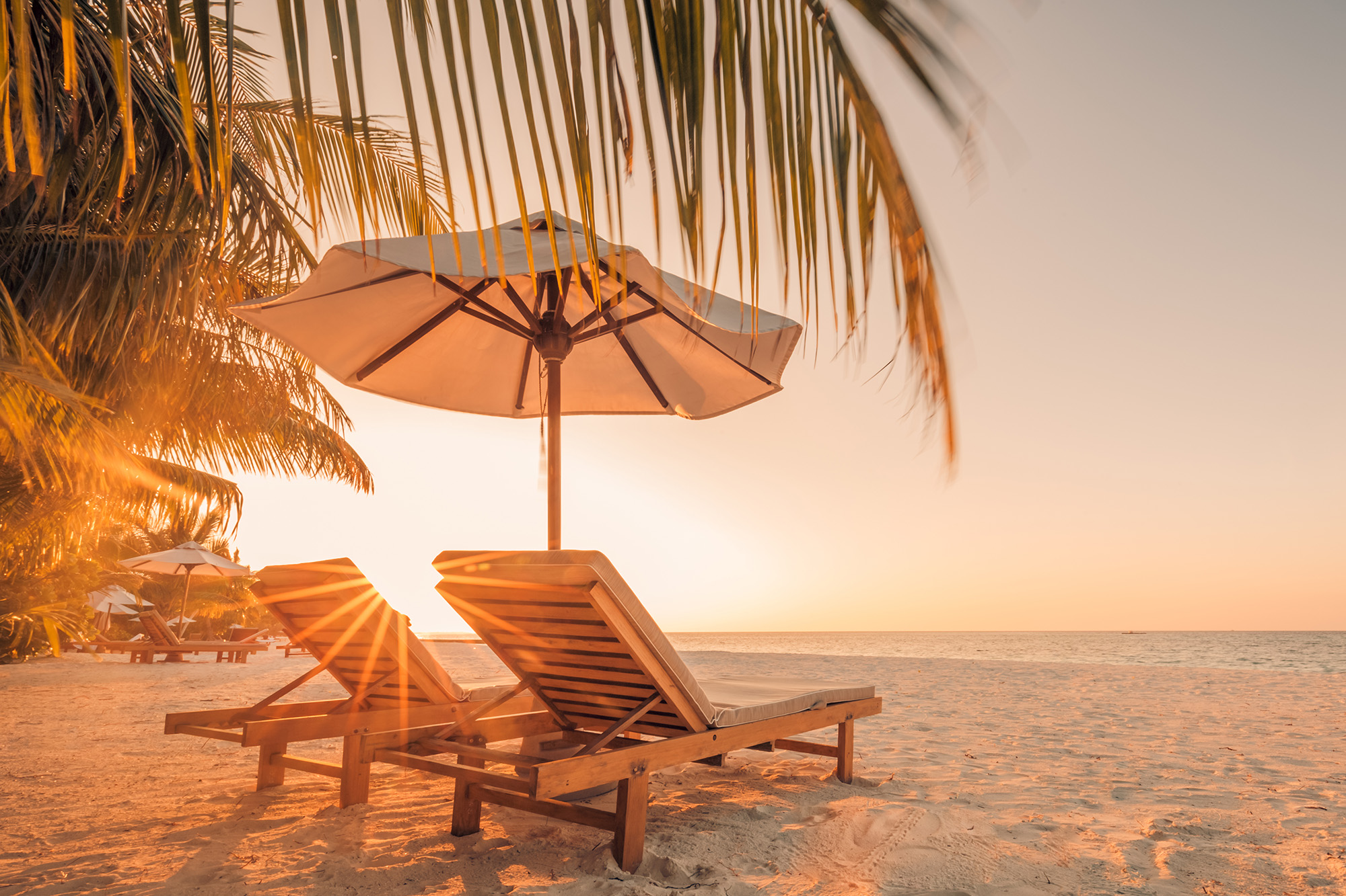 Scientists Discover Summer Is More Stressful Than Winter