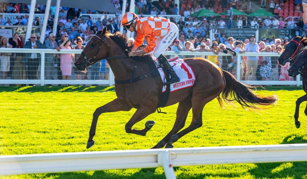 The Top 5 Performances Of The Wa Racing Season Sen The Top 5 Performances Of The Wa Racing Season Sen